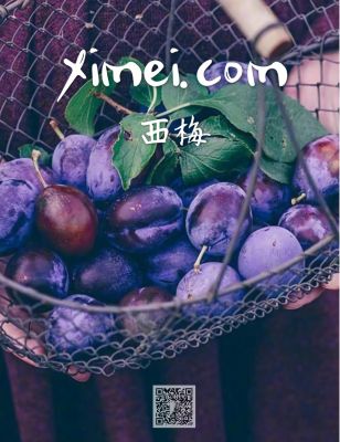 ximei.com